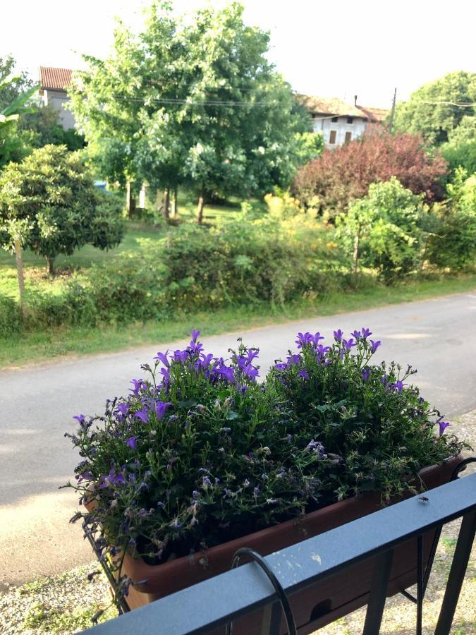 Casa Giulia - Valeggio Sul Mincio Apartman Kültér fotó
